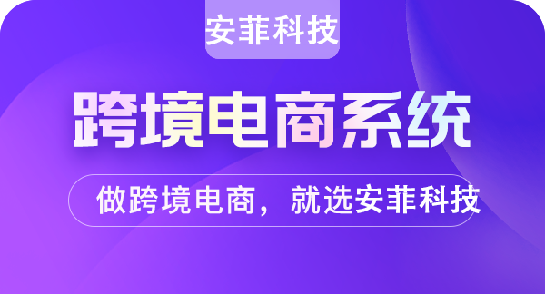 開發(fā)跨境電商大概投資多少錢