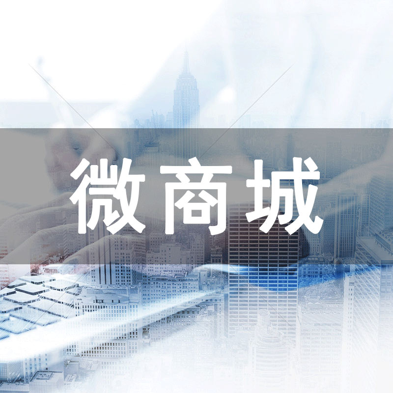微分銷系統(tǒng)的開發(fā)方式