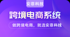 開發(fā)跨境電商大概投資多少錢