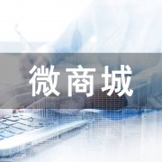 微分銷系統(tǒng)的開發(fā)方式