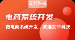 安菲科技外貿(mào)電商系統(tǒng)有哪些好處