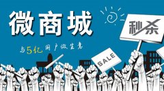 微商城系統(tǒng)開發(fā)要多少錢
