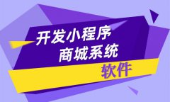 開發(fā)一個小程序商城需要多少錢