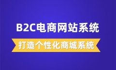 b2c網(wǎng)店系統(tǒng)運(yùn)營(yíng)技巧