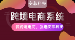 跨境電商系統(tǒng)開(kāi)發(fā)軟件價(jià)格多少