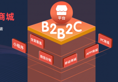 B2B2C商城系統(tǒng)費(fèi)用由什么決定