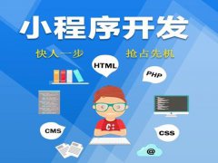 疫情當(dāng)下如何運(yùn)營好電商小程序