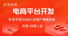 開發(fā)跨境電商系統(tǒng)應(yīng)該注意哪些問題