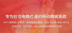 電子商務(wù)商城系統(tǒng)價(jià)格由什么決定