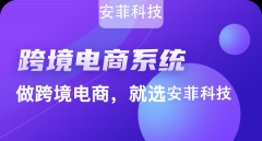2020年開(kāi)發(fā)跨境電商系統(tǒng)能做嗎