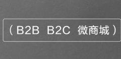 電子商務(wù)商城系統(tǒng)二次開發(fā)問題