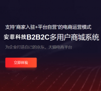 開發(fā)一個(gè)網(wǎng)上商城多少錢