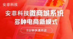 開發(fā)微商城系統(tǒng)有哪些方案